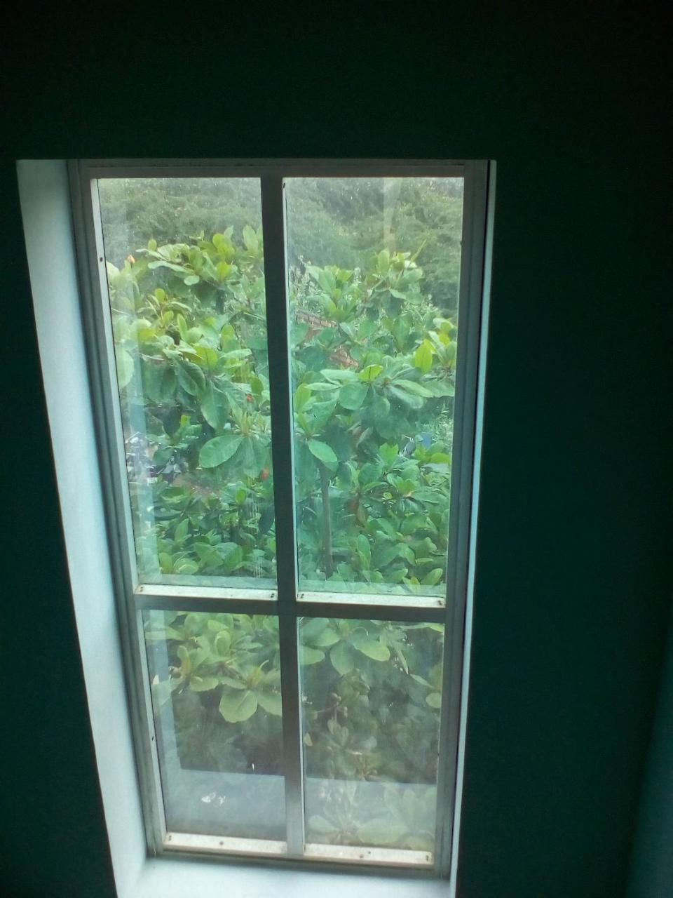 Tiruvannāmalai Sai Guest House מראה חיצוני תמונה